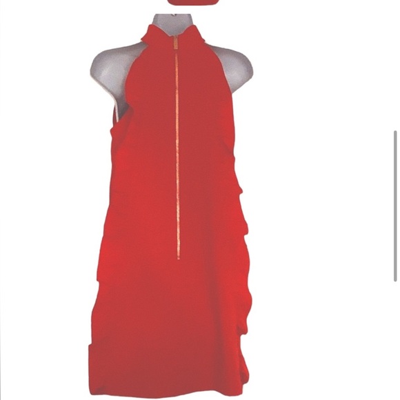 Ted Baker Ruffle Dress - Picture 5 of 7